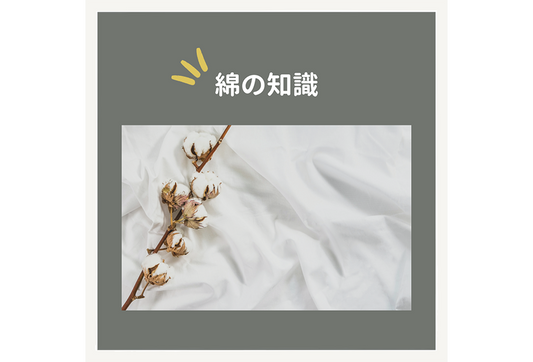 綿の知識