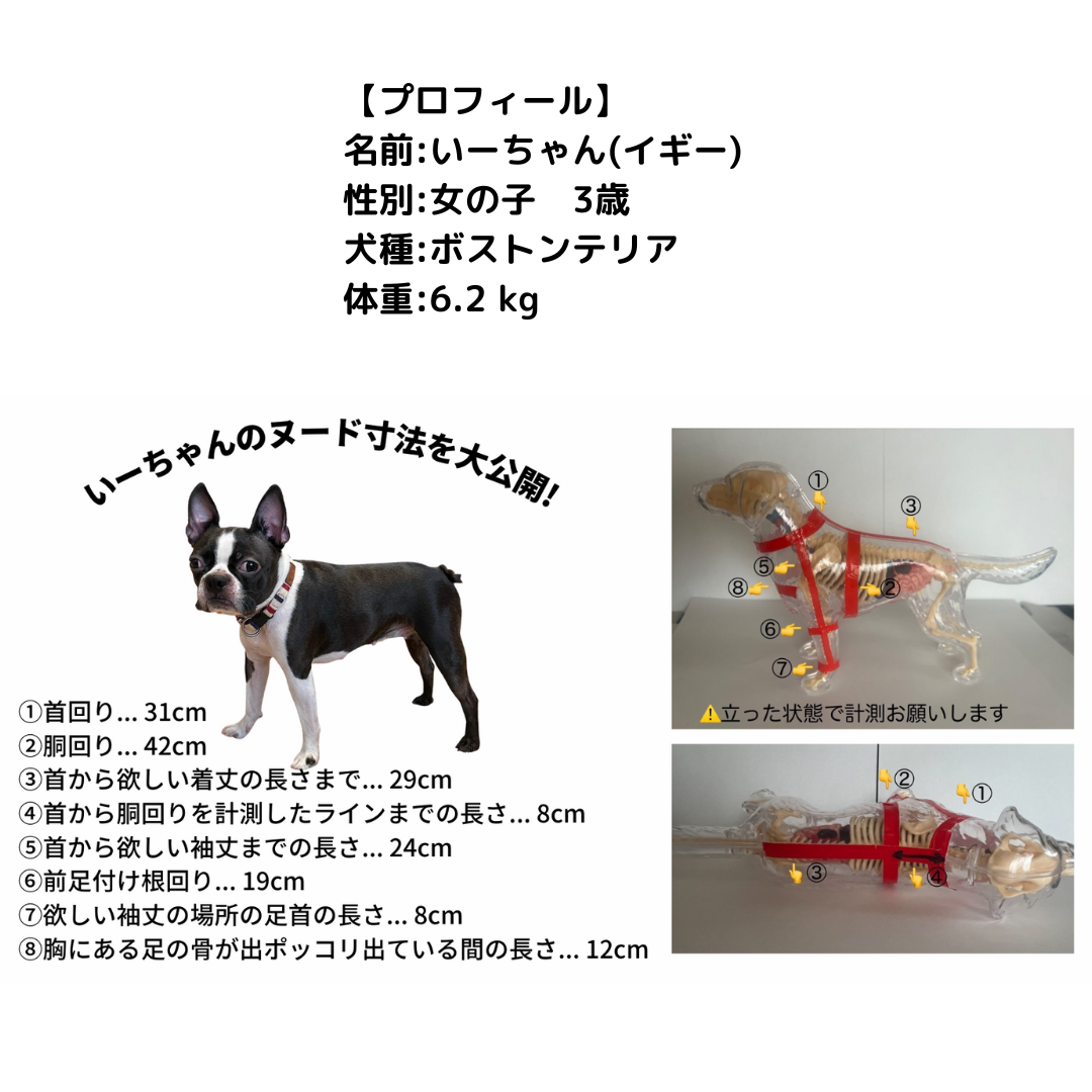 MD-002-D-  型紙-犬服-僕専用いーちゃん服（ダウンロード版）